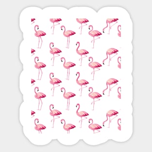 Pink flamingos Sticker